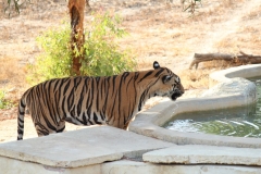 20120703 - Friguia Animal Park
