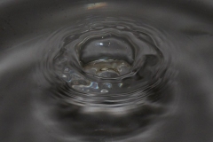 009