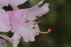 019