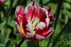 026