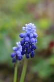 034