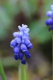 035