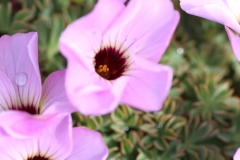 037