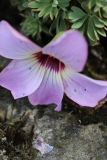 038