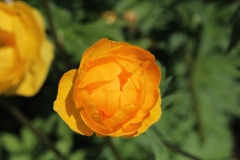 016