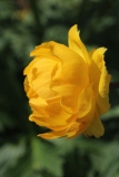 017