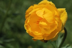 018