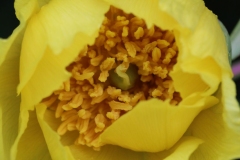 033
