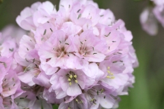 041