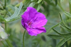 043
