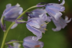 048