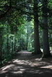20130706 - The Hermitage
