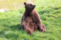 Whipsnade-027