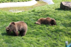 Whipsnade-028