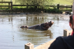Whipsnade-047