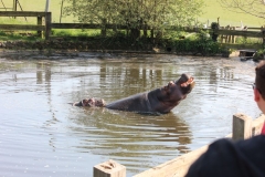 Whipsnade-048