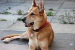 20190422 - Cody