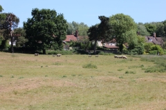 Wymondham-014
