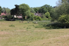 Wymondham-015