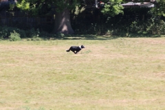 Wymondham-017