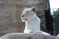 20200802 - Paradise Wildlife Park