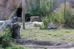 20200802 - Paradise Wildlife Park
