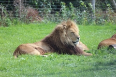 Longleat-070
