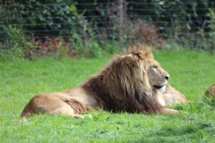 Longleat-071
