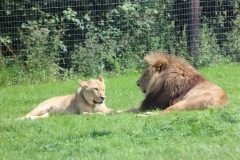Longleat-073