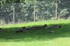 Longleat-080