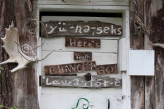 Haines006
