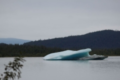 Juneau035