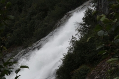 Juneau039