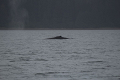 Icy-Strait-003