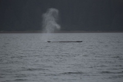 Icy-Strait-004