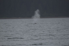 Icy-Strait-006
