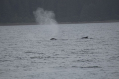 Icy-Strait-009