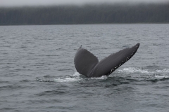 Icy-Strait-023