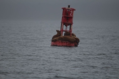 Icy-Strait-033