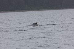 20220811 - Icy Strait Point