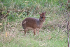 Yoorkshire-084