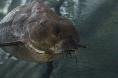 20230227 - Bournemouth