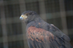 20230409 - Paradise Wildlife Park