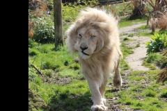 20230409 - Paradise Wildlife Park