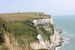 Dover-003