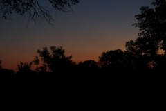 Sunset-035