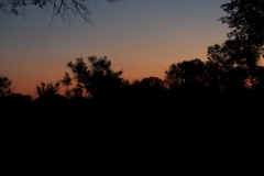 Sunset-036