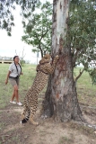 Lion-Park-001