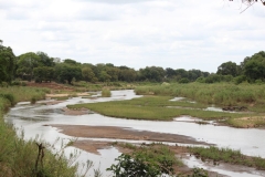 Kruger-1-045