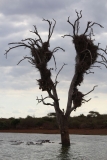 Kruger-1-065